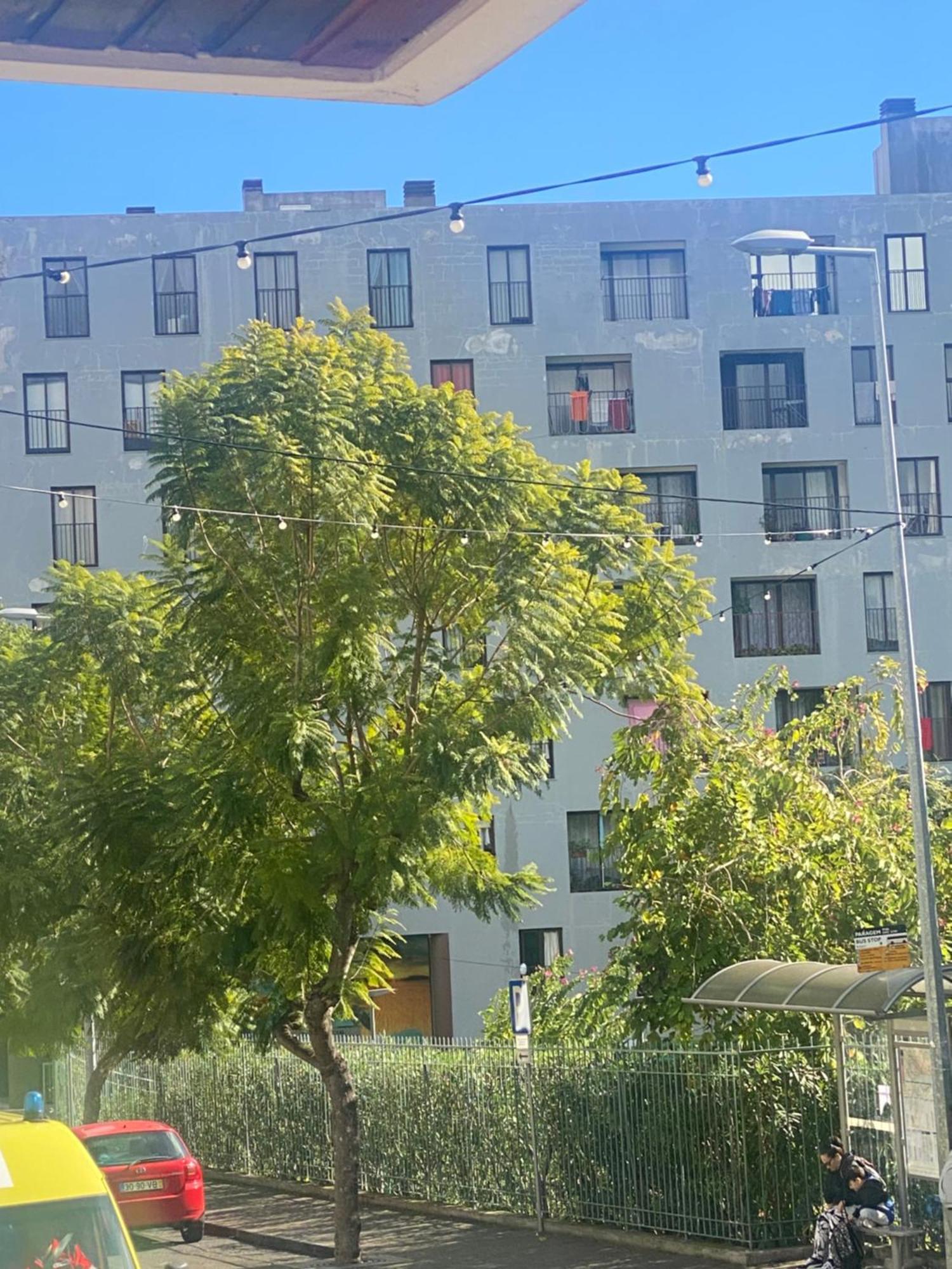 Funchal Varzea Park Leilighet Eksteriør bilde